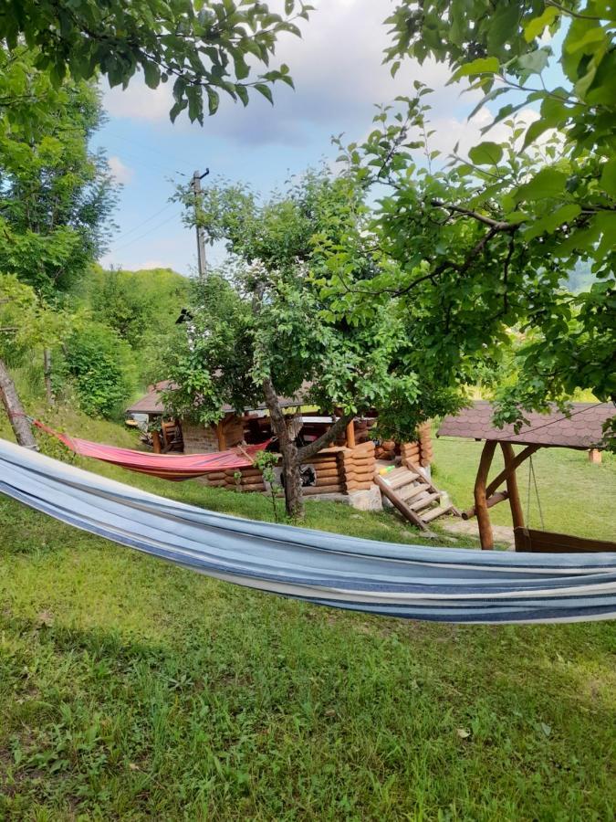 Cabana Din Revier Viseu de Jos Bagian luar foto