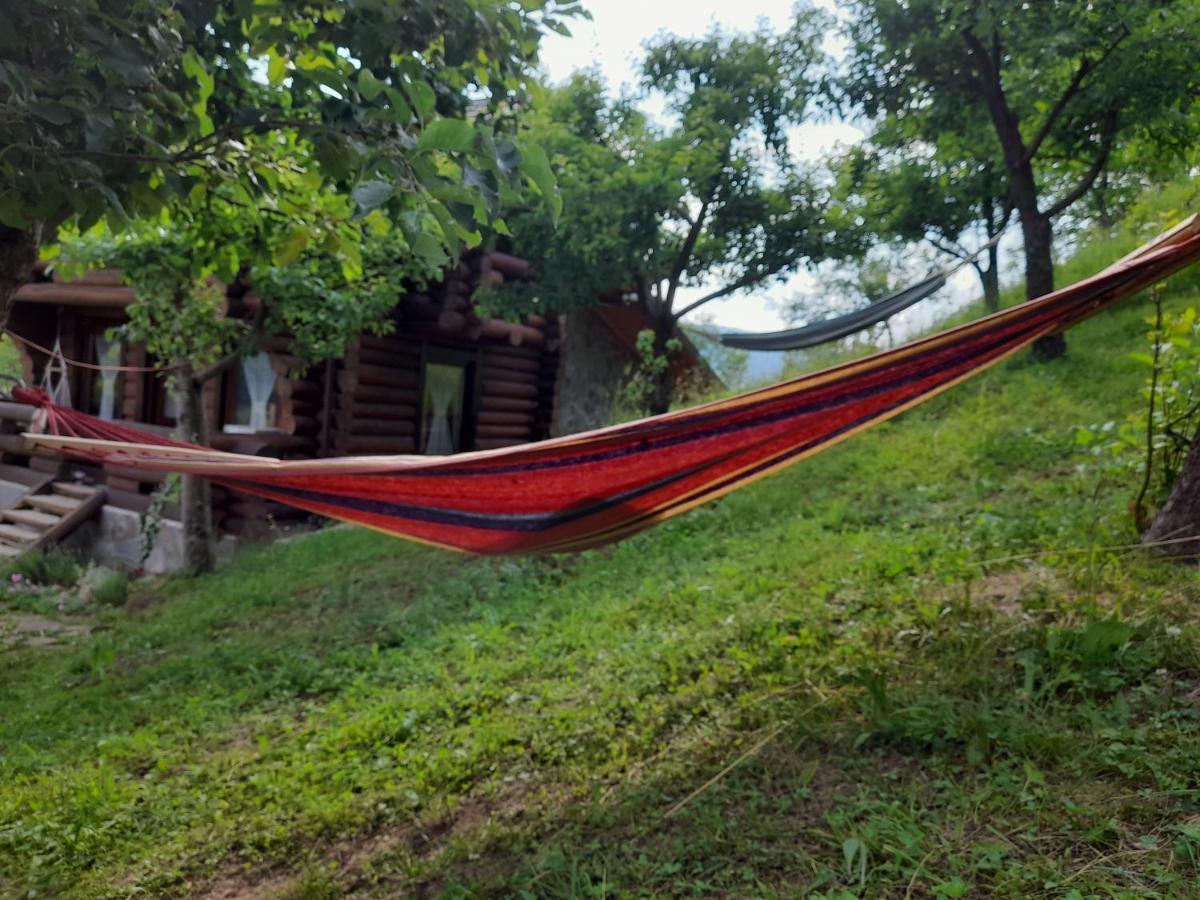 Cabana Din Revier Viseu de Jos Bagian luar foto