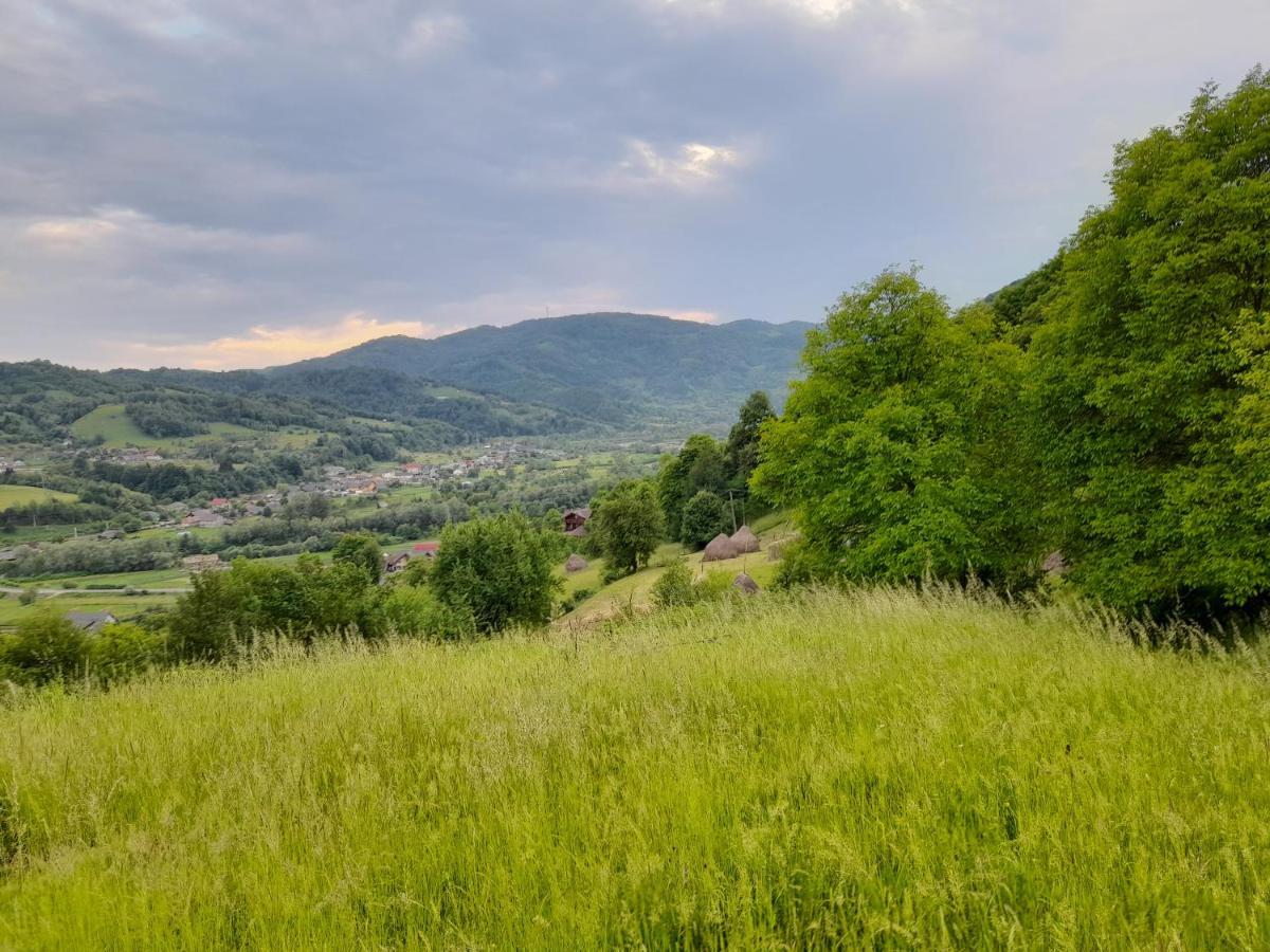 Cabana Din Revier Viseu de Jos Bagian luar foto