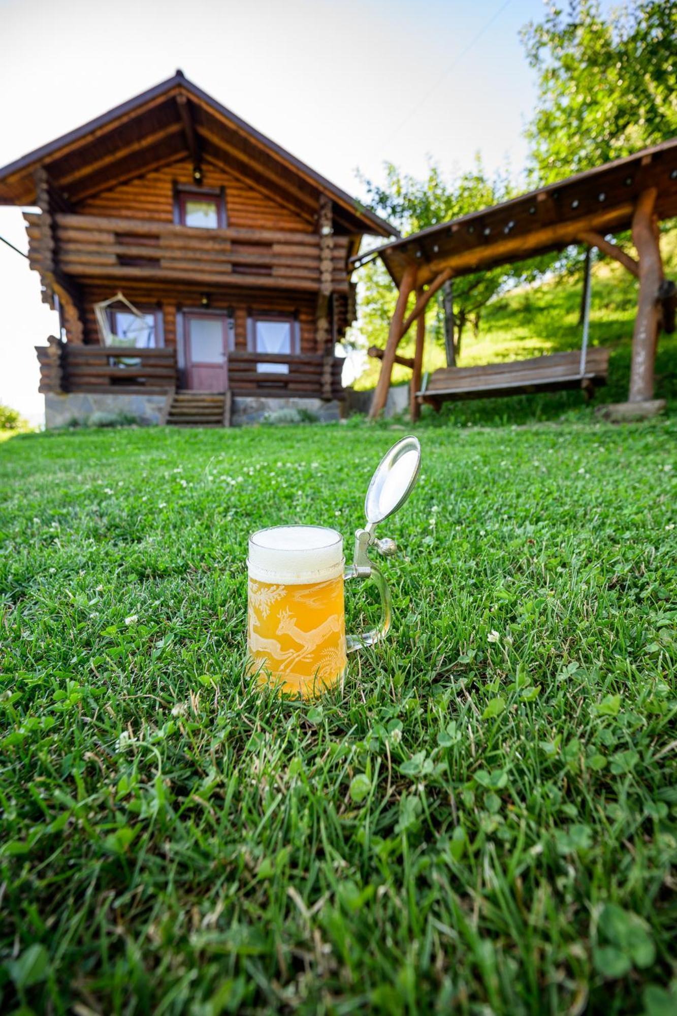 Cabana Din Revier Viseu de Jos Bagian luar foto