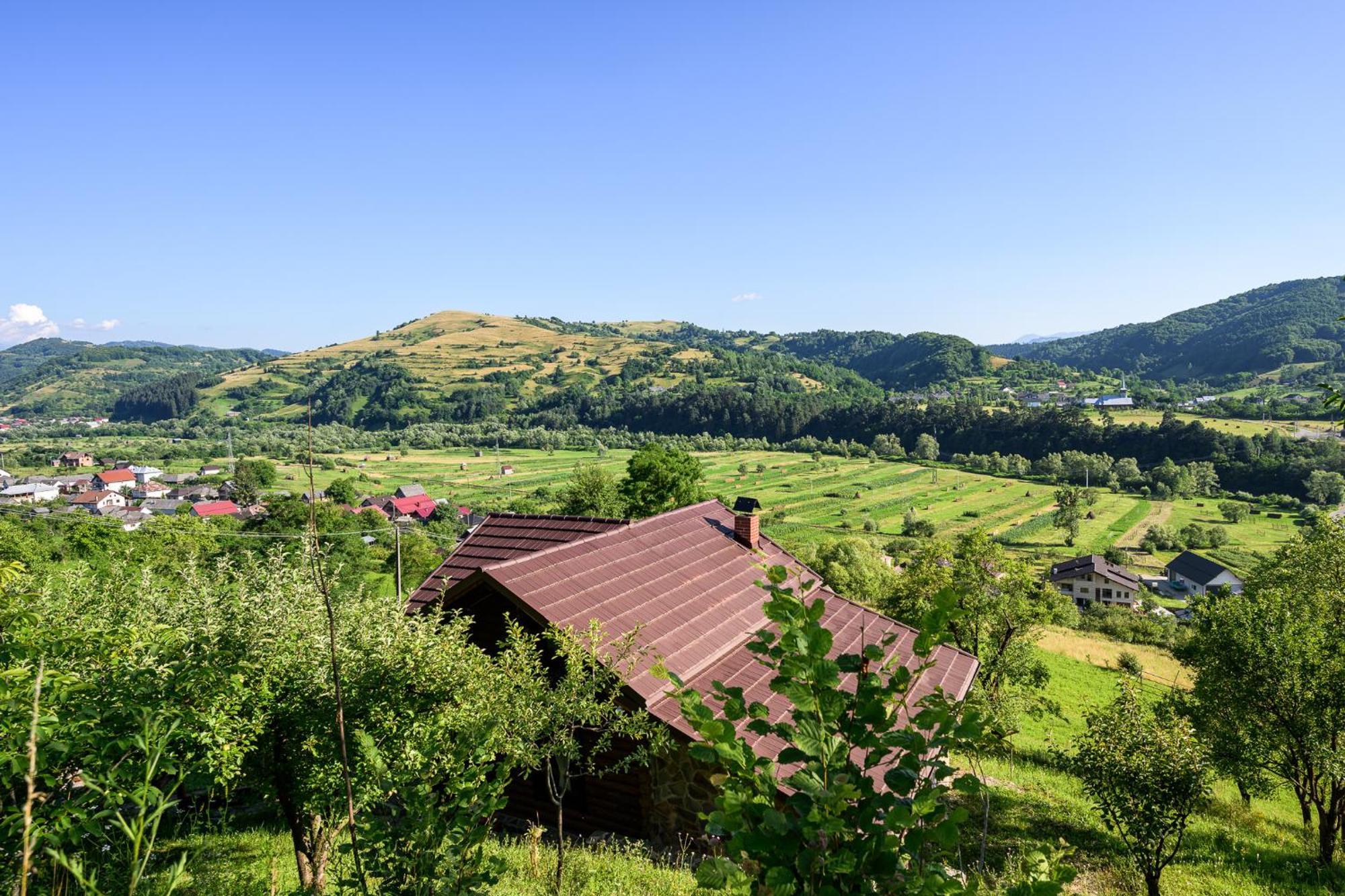 Cabana Din Revier Viseu de Jos Bagian luar foto